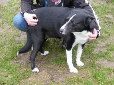Maja -  - Bild 11