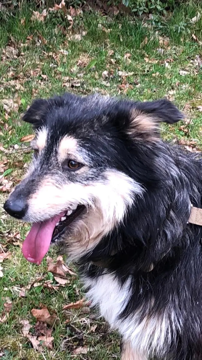 Greta -  - Bild 2