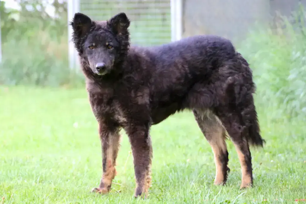 Nelly -  - Bild 1