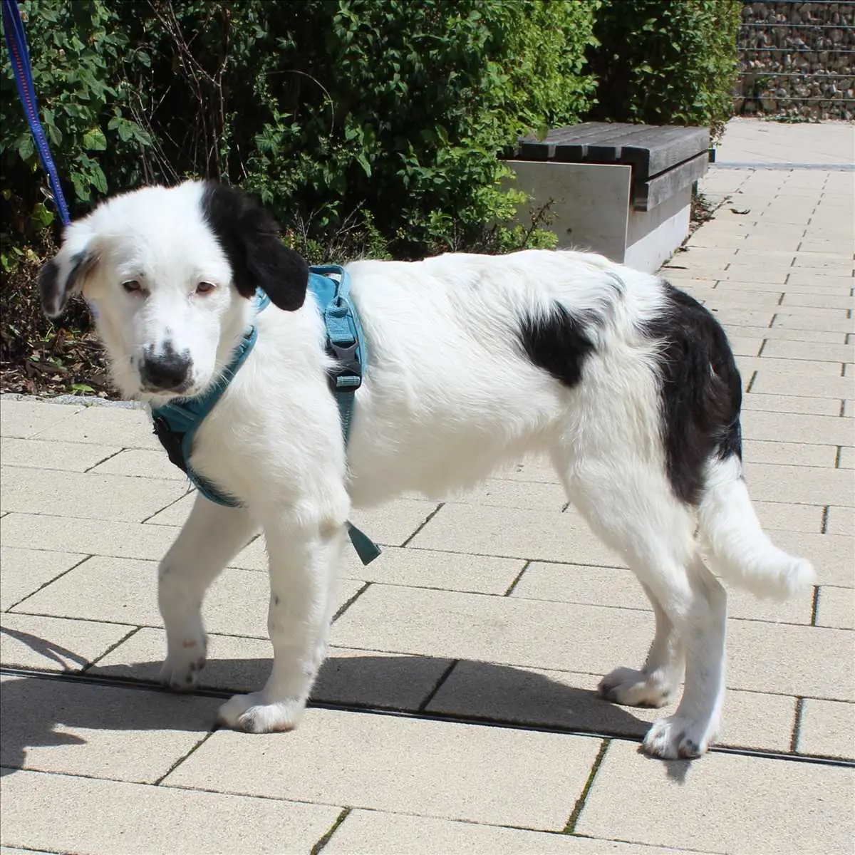Zoe -  - Bild 2