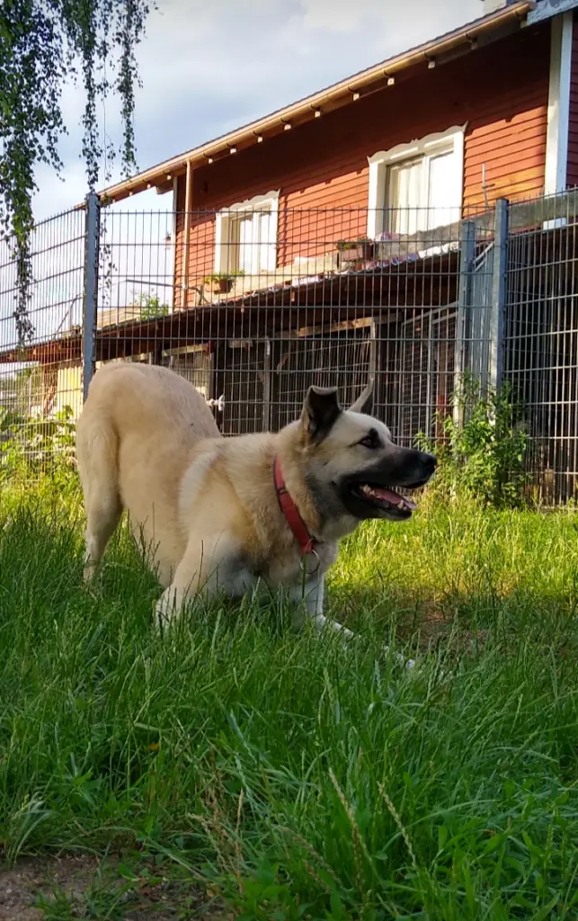 Isidor -  - Bild 4