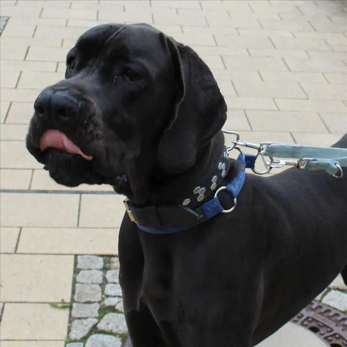 PHANTOM -  - Bild 1