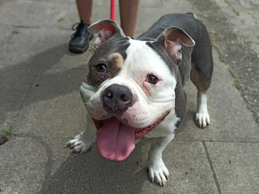 Lala -  - Bild 1