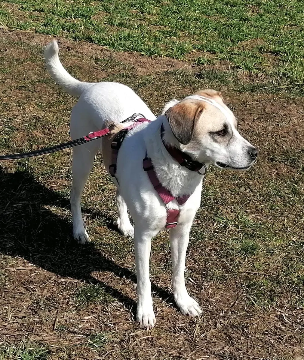 Frieda -  - Bild 3