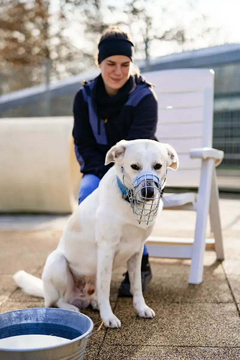 Samy -  - Bild 6