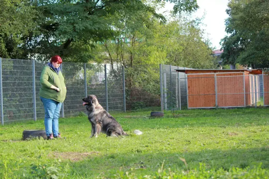 Rocky -  - Bild 21