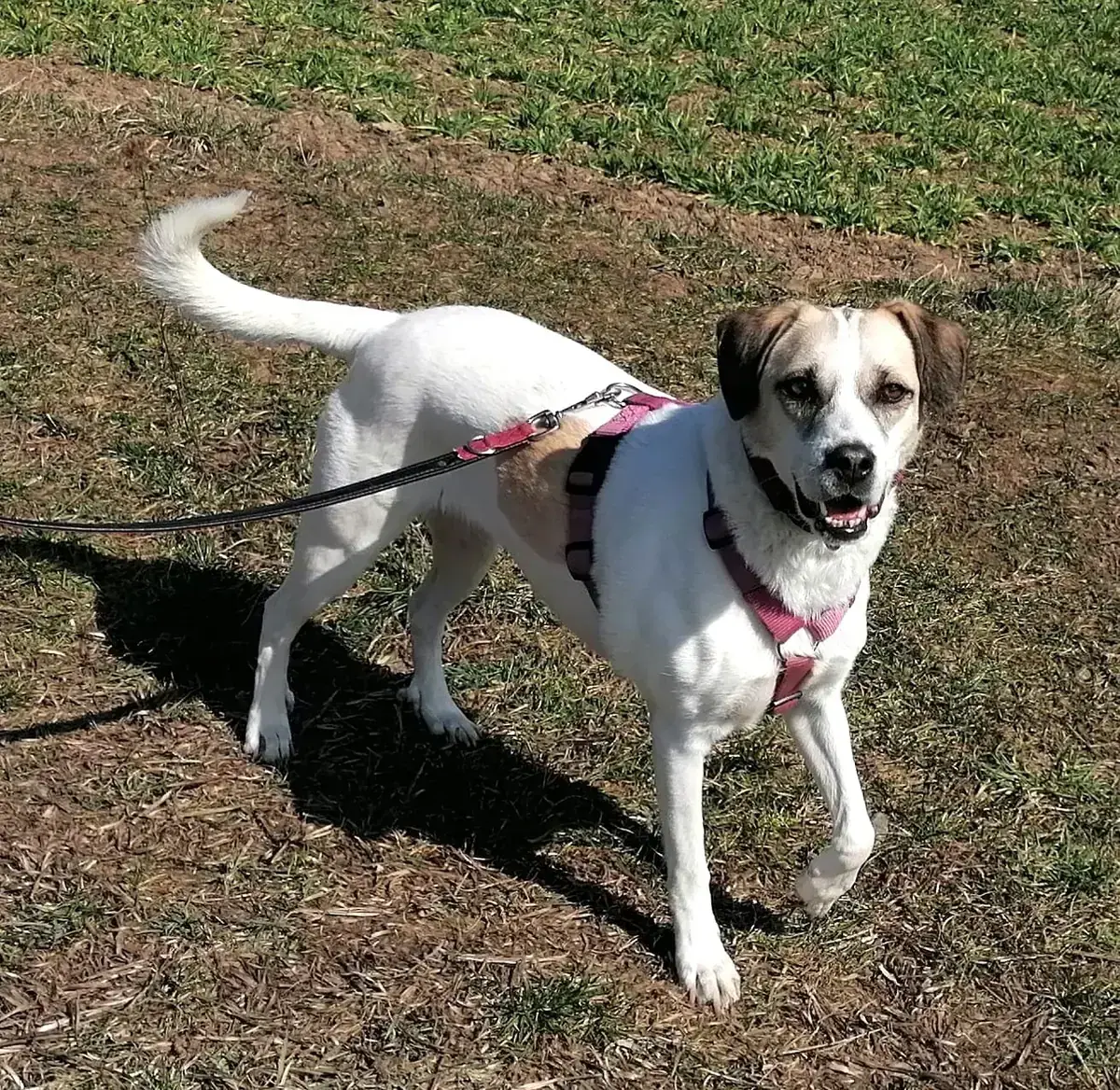 Frieda -  - Bild 1
