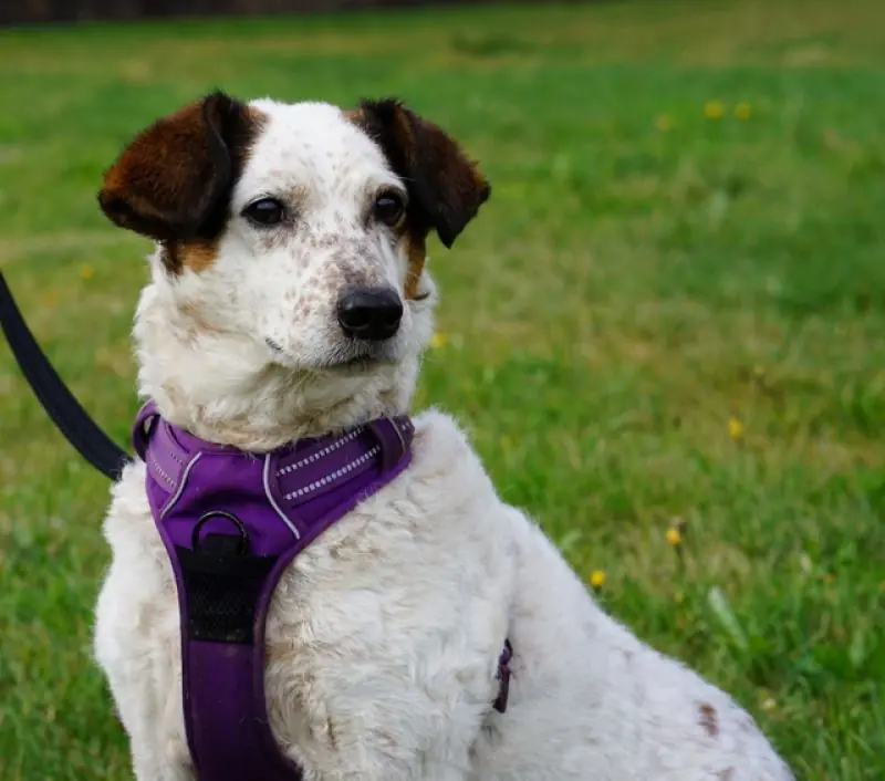 Betty -  - Bild 15