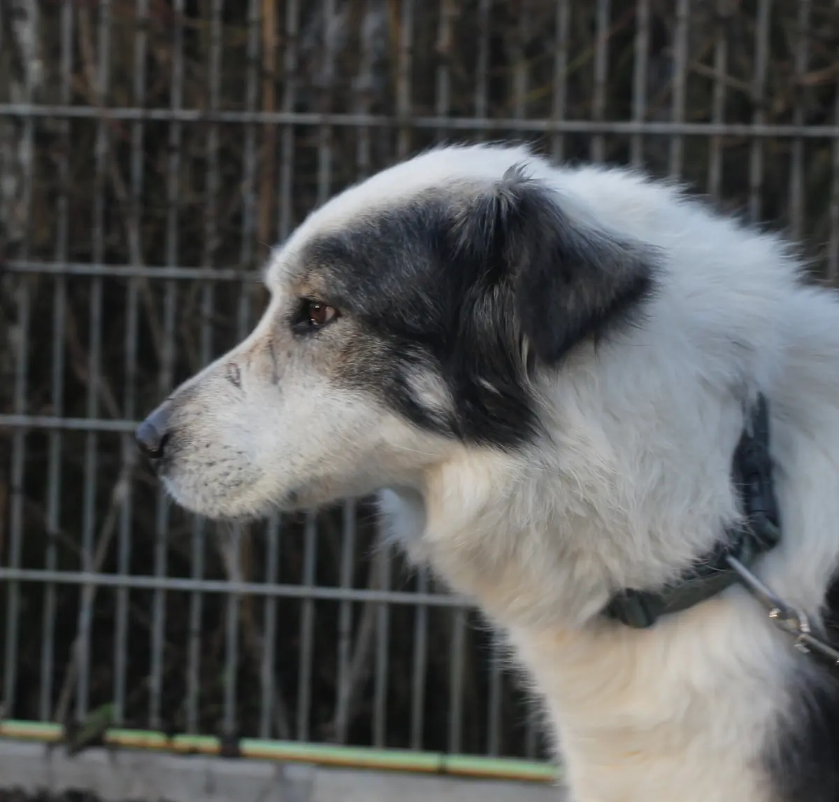 Rita -  - Bild 2