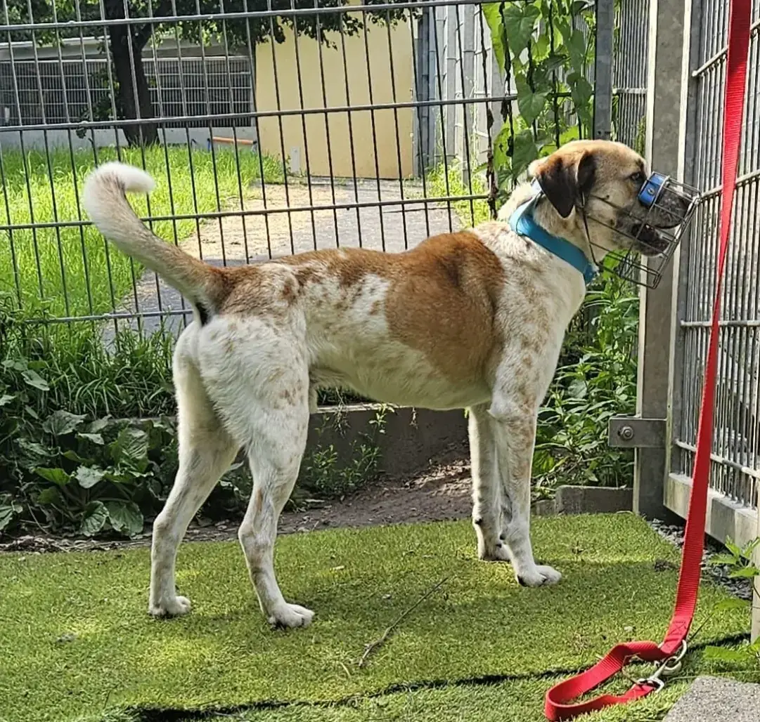 Marley -  - Bild 4