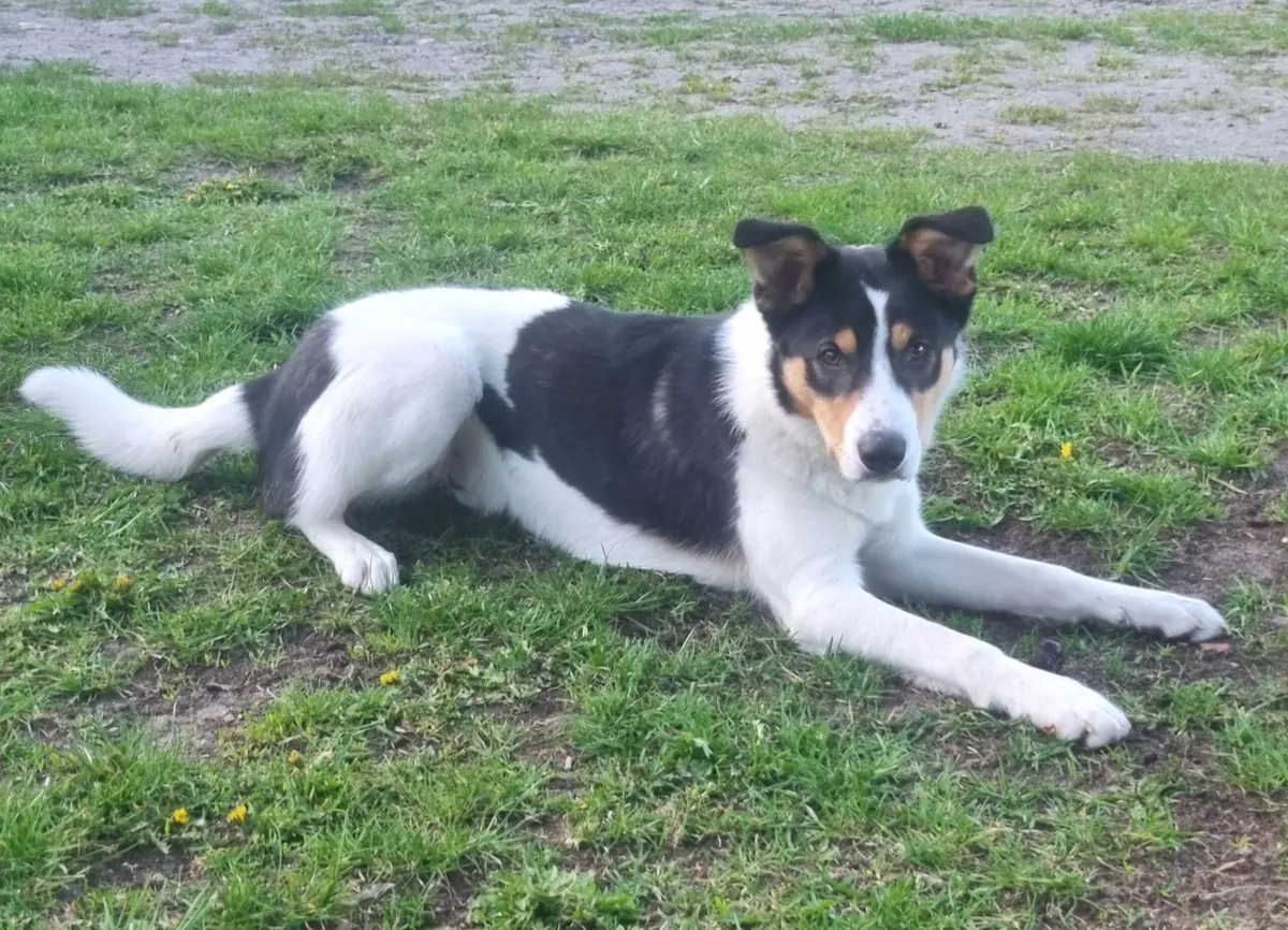 Karl -  - Bild 5