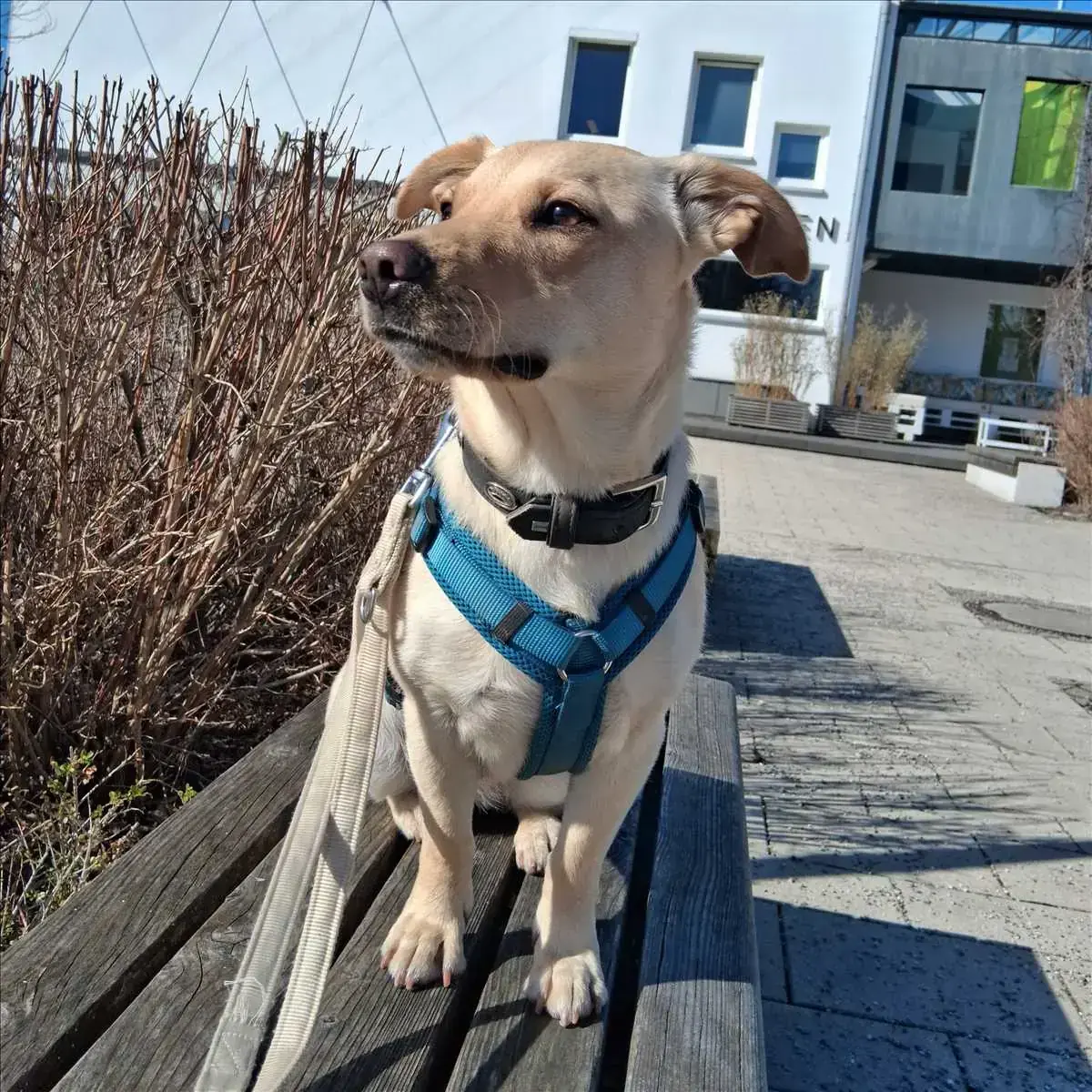 LUNA -  - Bild 3