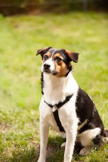 Tia -  - Bild 1