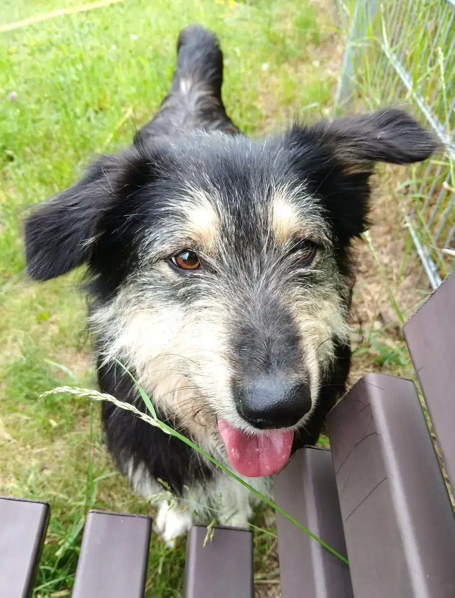 Greta -  - Bild 3