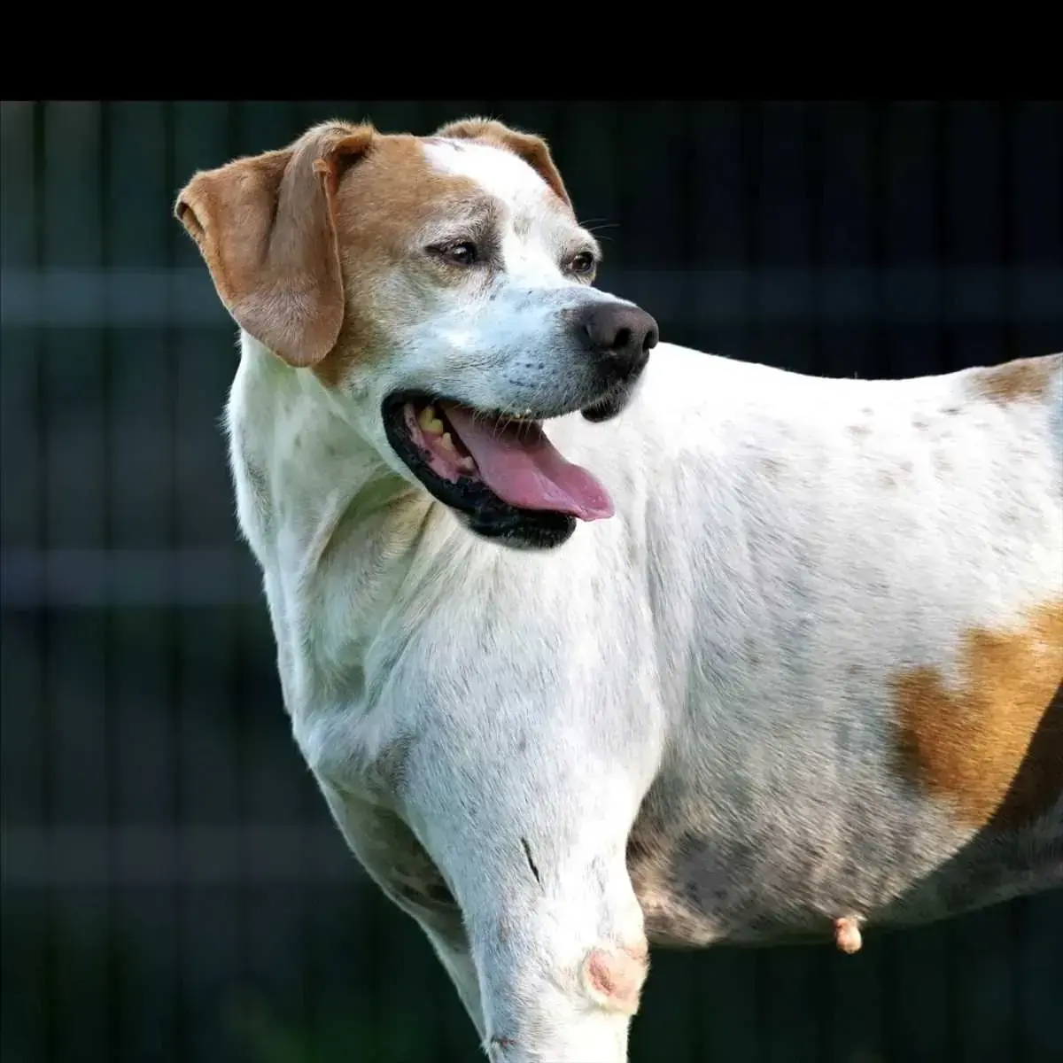 SAM -  - Bild 1