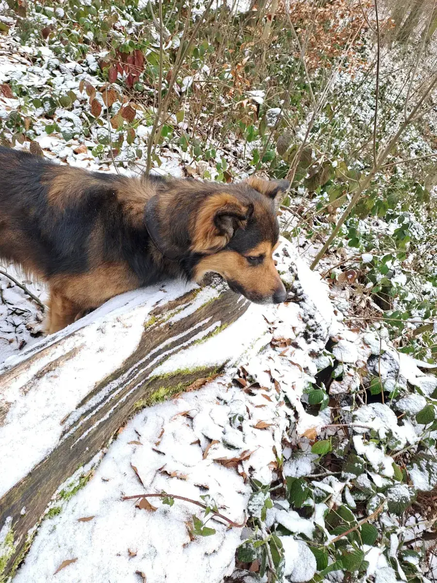 Rocky -  - Bild 3
