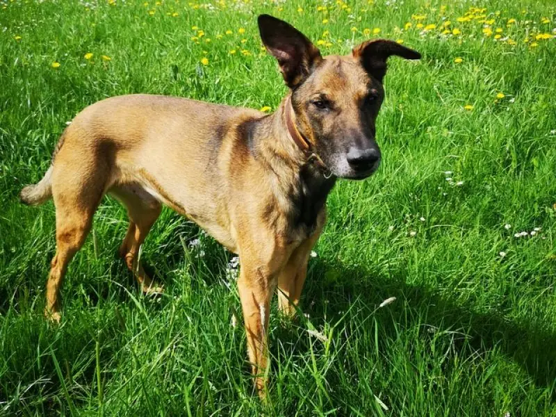Aki -  - Bild 30