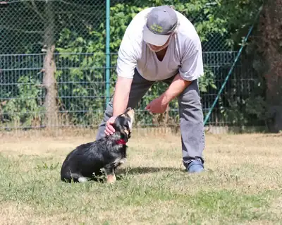 Cherry – Hund – Bild 8