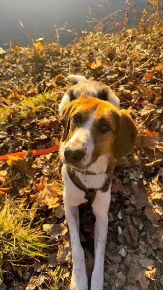 Lucy -  - Bild 2