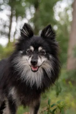 Luna -  - Bild 1