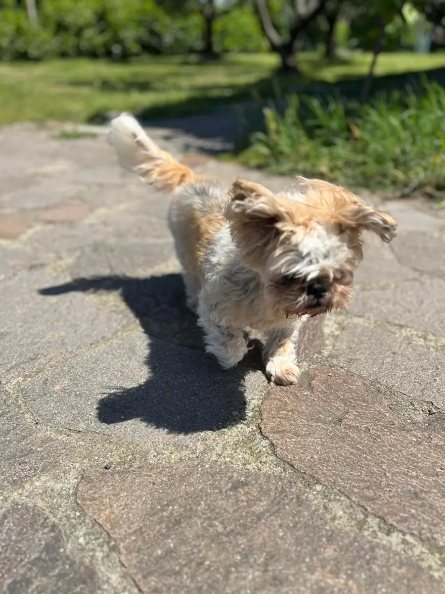 Cindy -  - Bild 6