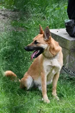 Moritz -  - Bild 4
