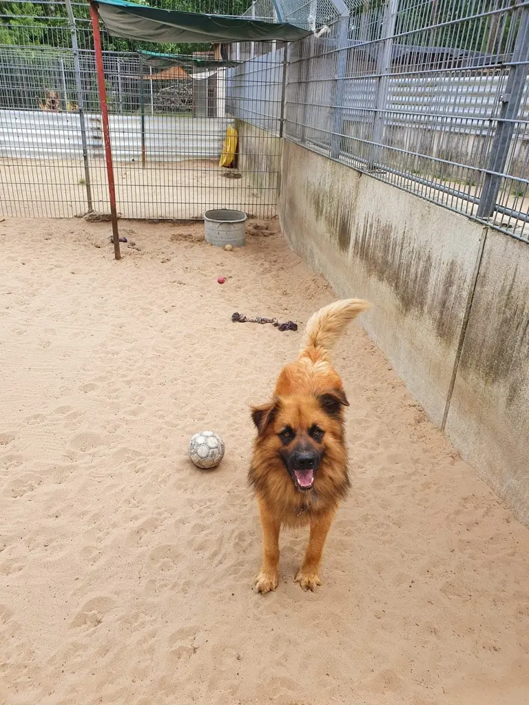 Spike -  - Bild 3