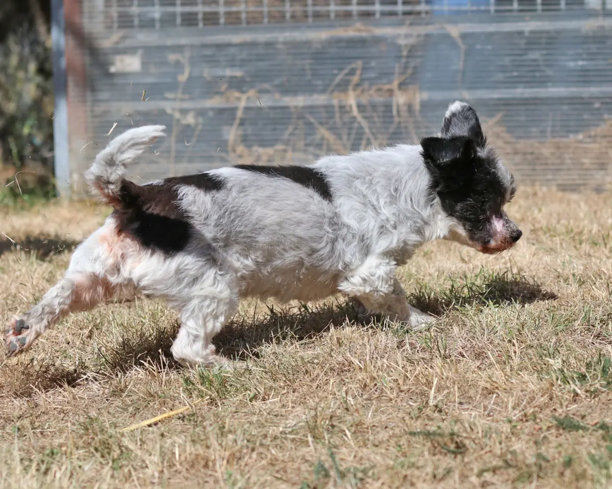 Andi -  - Bild 9