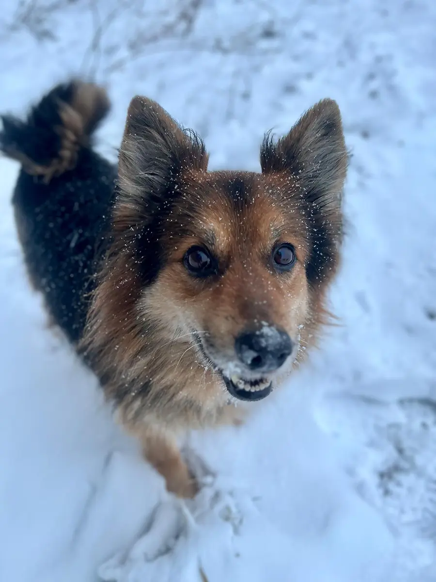Loui -  - Bild 12