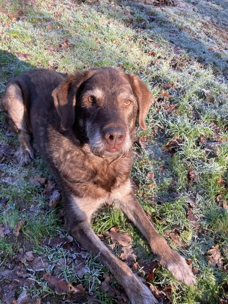 Max -  - Bild 8