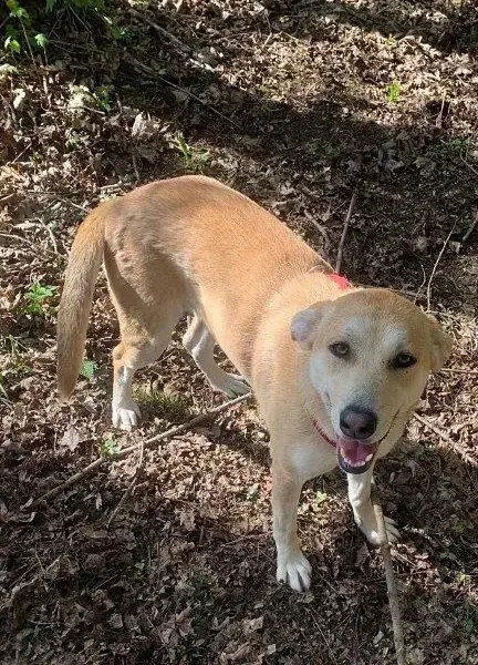 Lily -  - Bild 1
