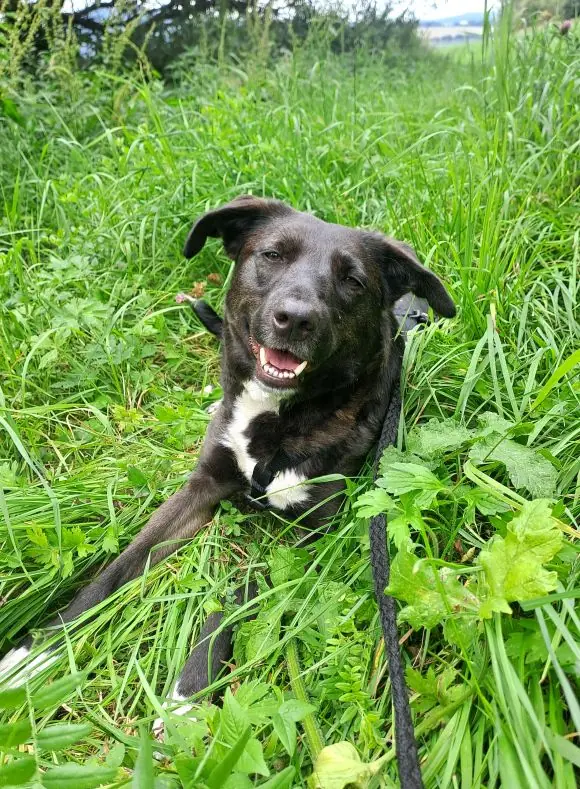 Milena -  - Bild 3