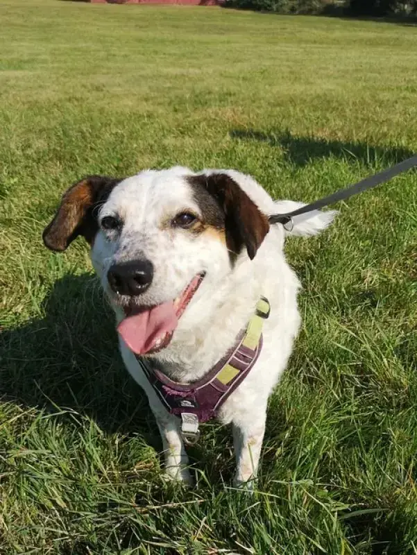 Betty -  - Bild 11