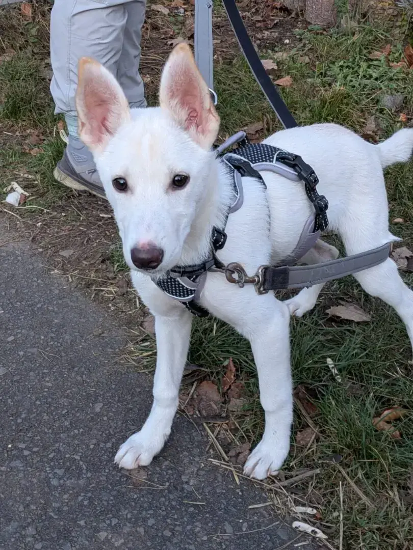 Kira -  - Bild 2