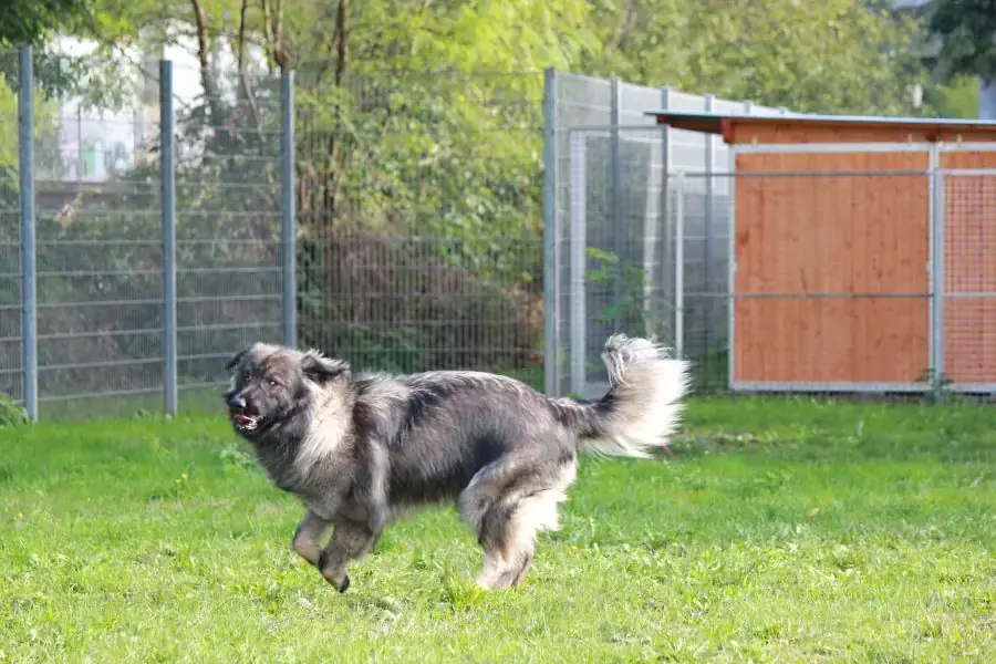 Rocky -  - Bild 14