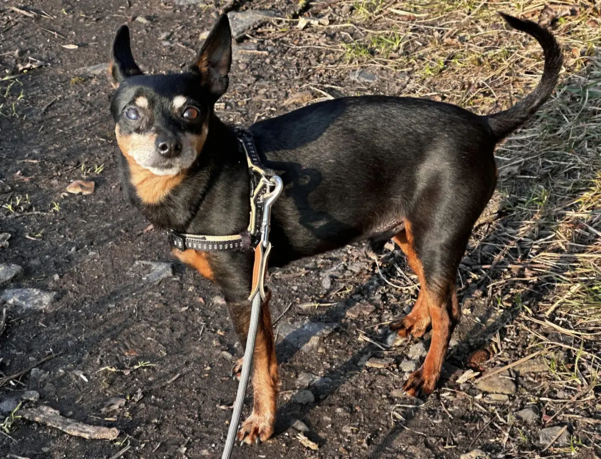 Lenny -  - Bild 1