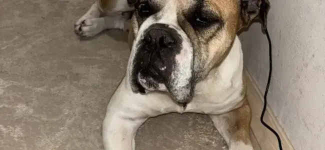 Aron -  - Bild 1