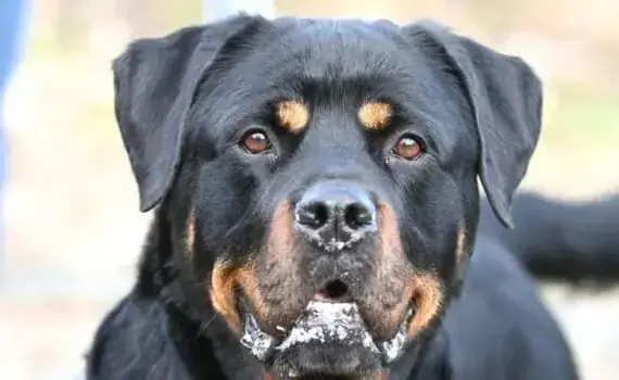 Spike -  - Bild 12