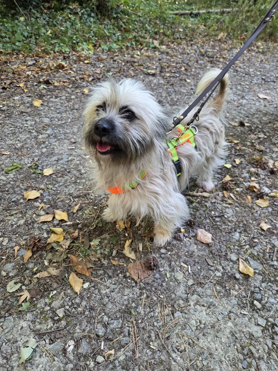 Alfi -  - Bild 3