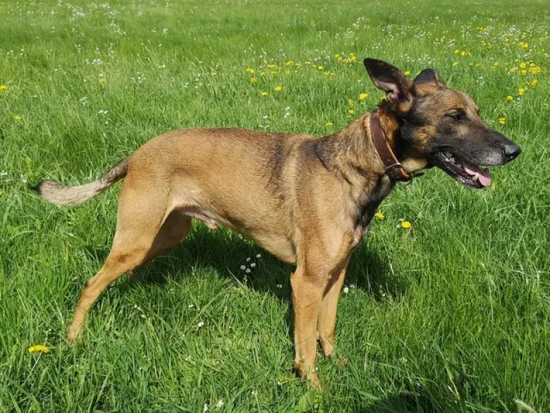 Aki -  - Bild 33