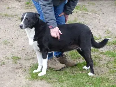 Maja -  - Bild 3