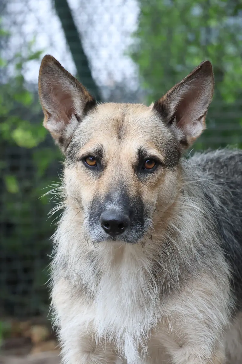 Lucy -  - Bild 3