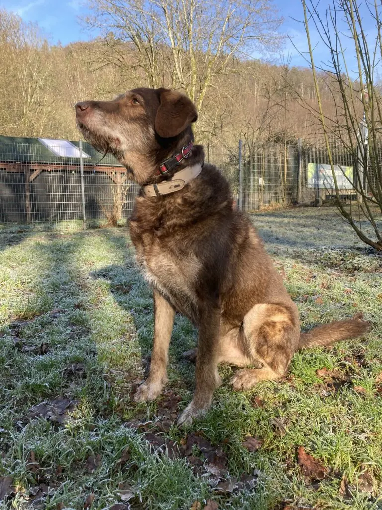 Max -  - Bild 6