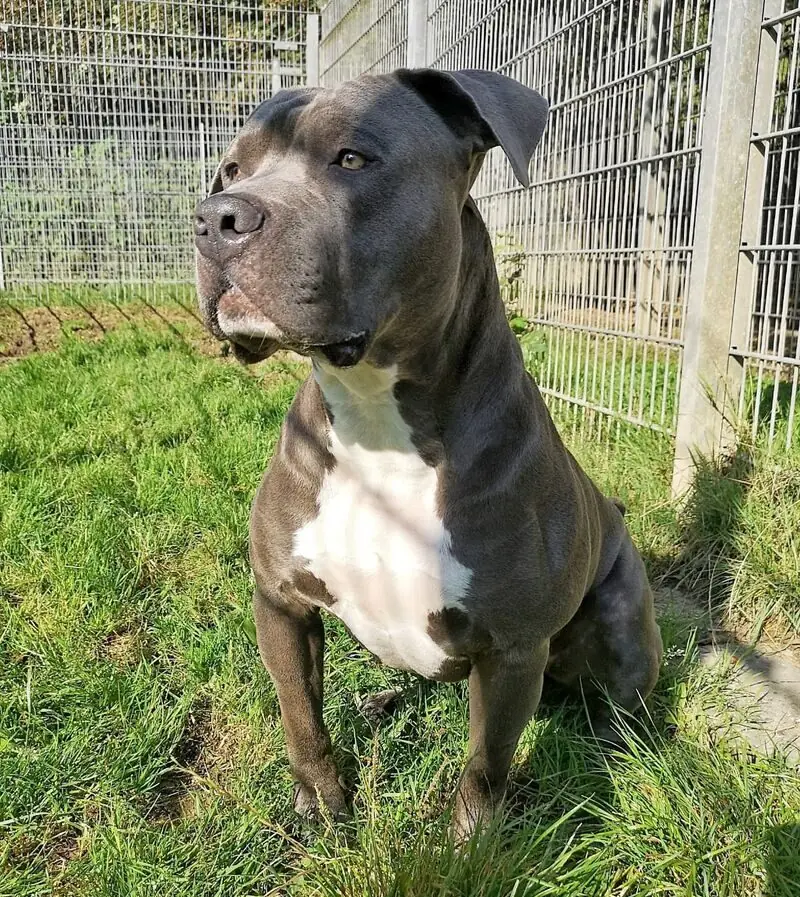 Rocky -  - Bild 1