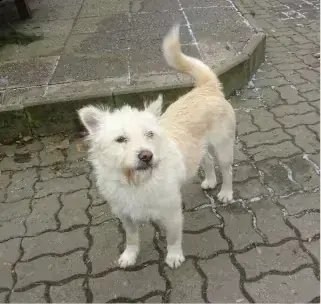 Tara -  - Bild 2