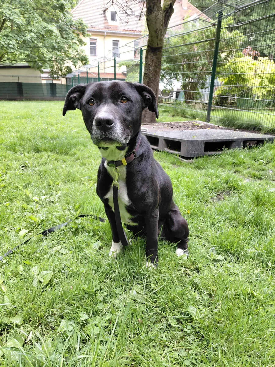 Jackie -  - Bild 3