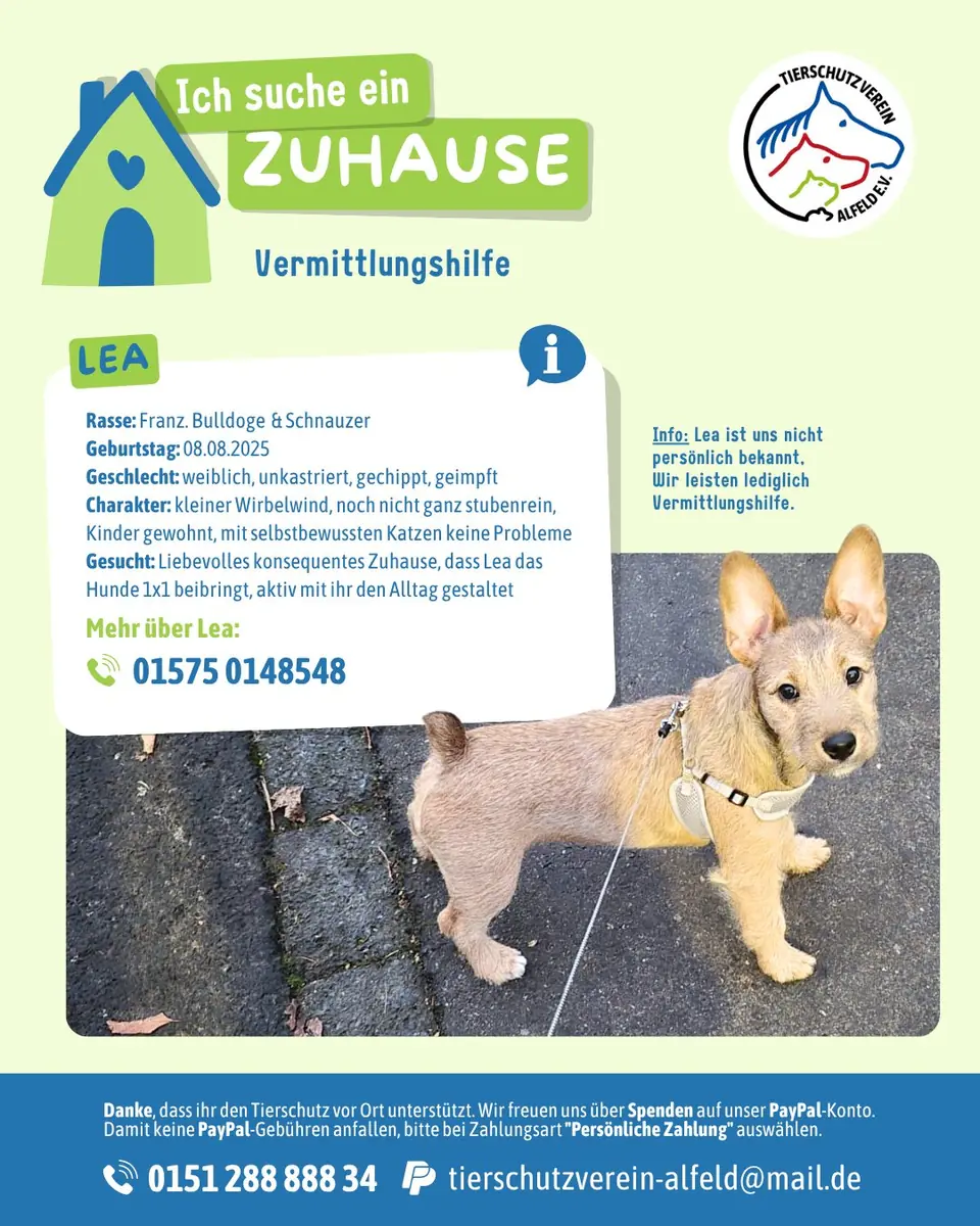 Lea -  - Bild 1