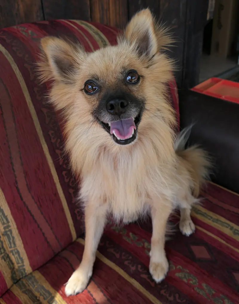Monty -  - Bild 1
