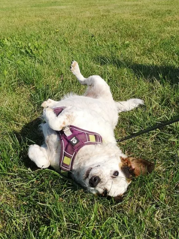 Betty -  - Bild 7