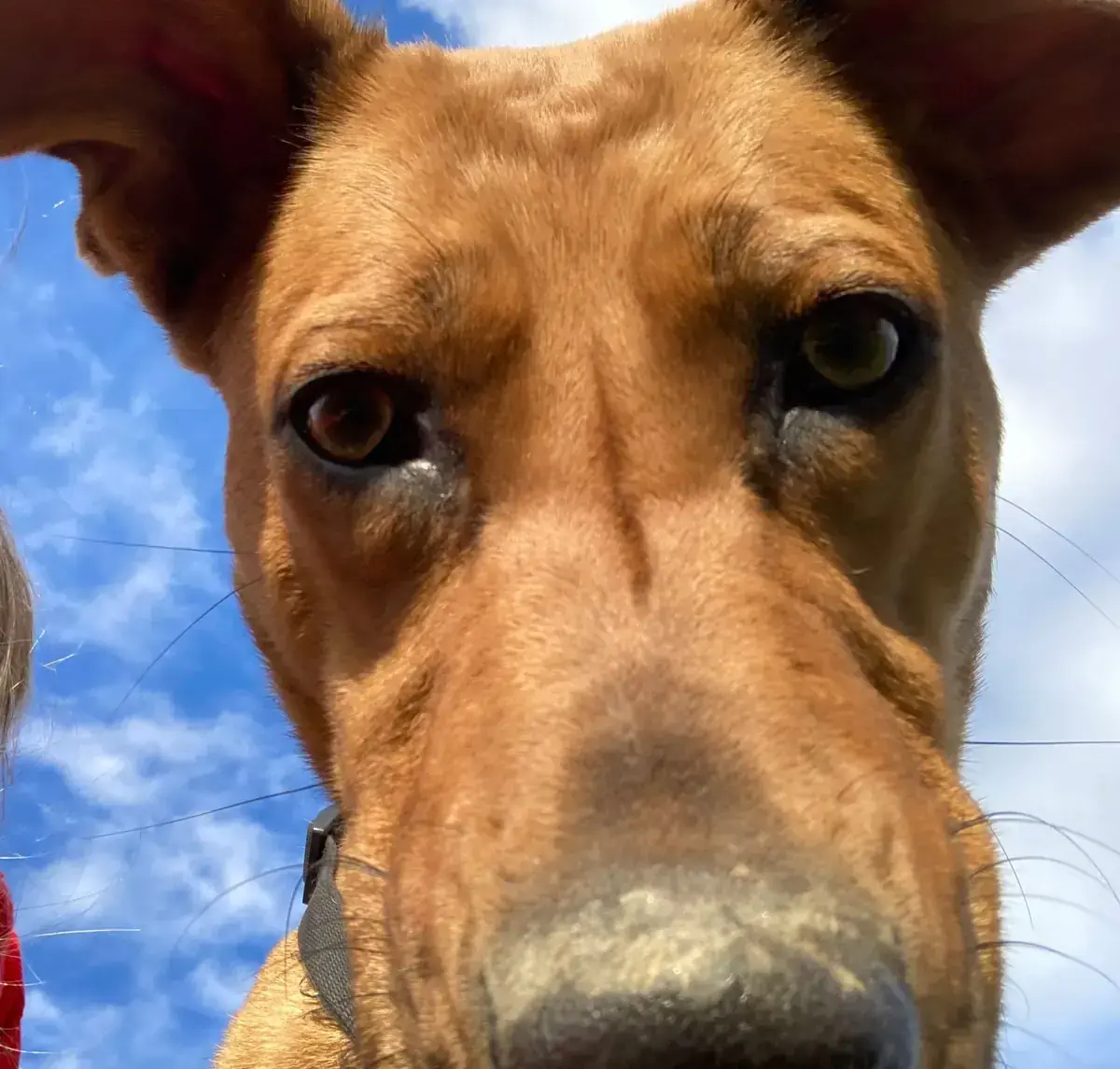 Penny -  - Bild 6